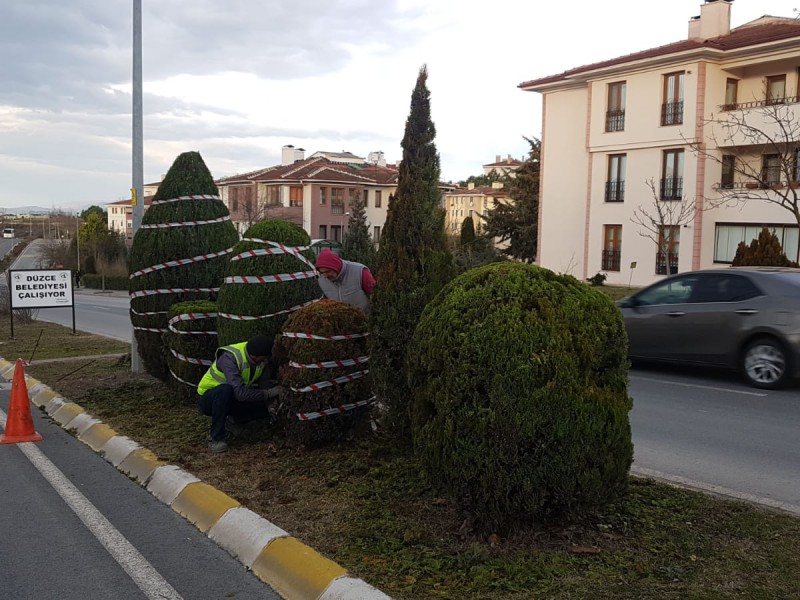 BAHÇEŞEHİRDE BİTKİLER KORUMA ALTINA ALINDI