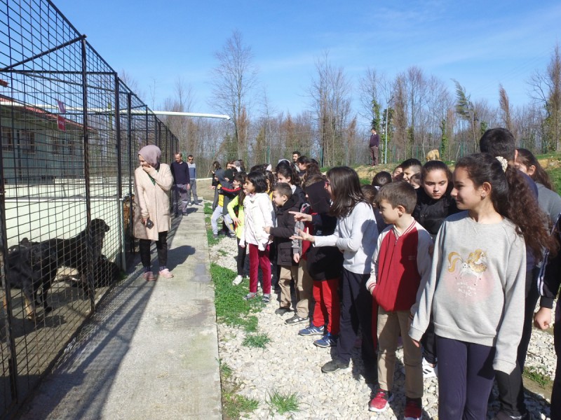 SOKAK HAYVANLARINA ŞEFKAT ZİYARETİ